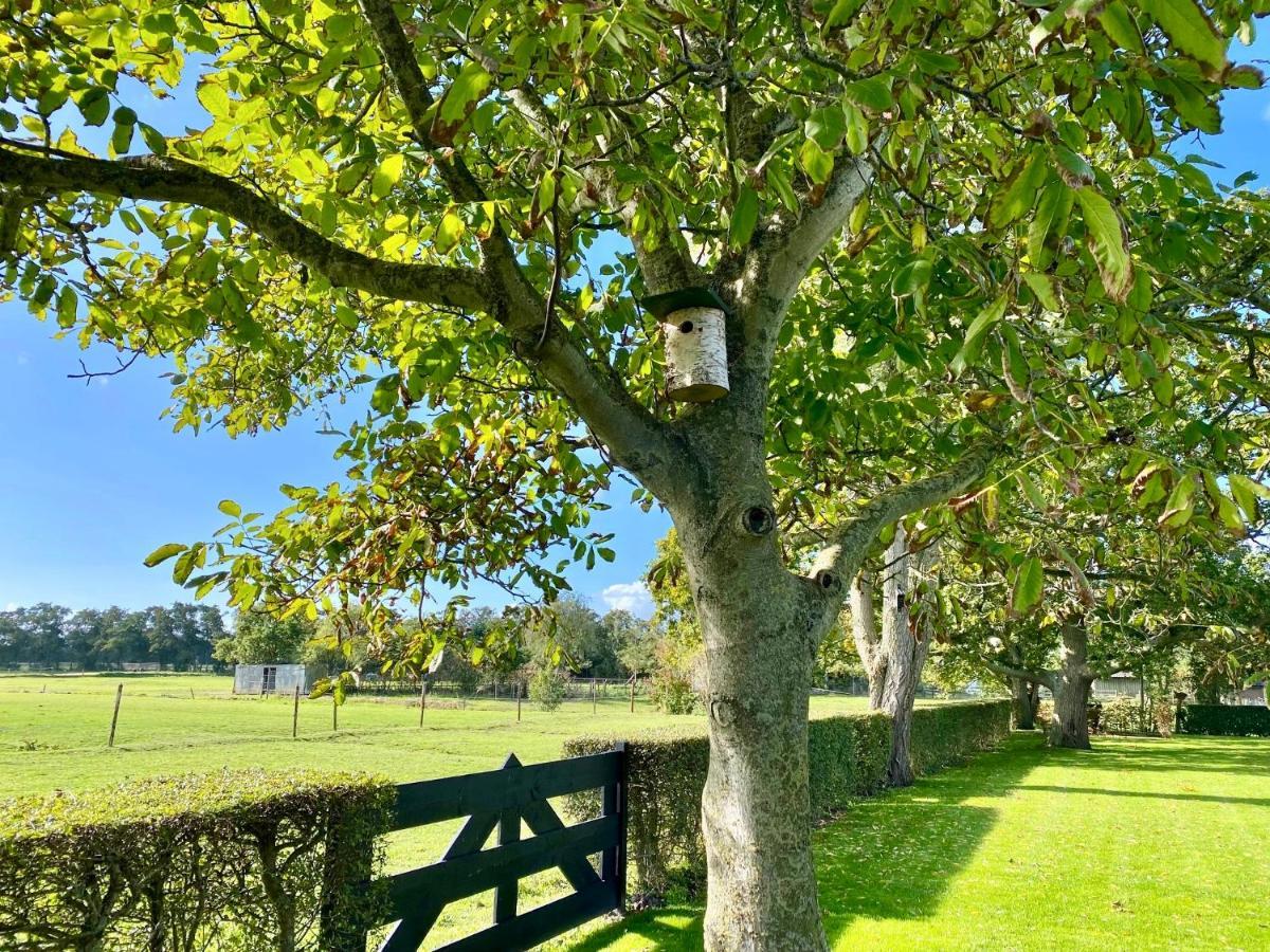 Vakantiewoning Skuur Bergen Dış mekan fotoğraf
